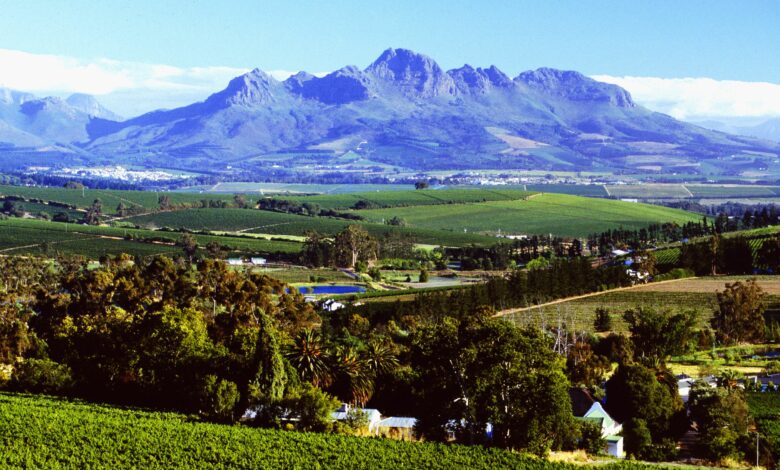 ElanaWagner-13-04-2022-Travel-Stellenbosch.1