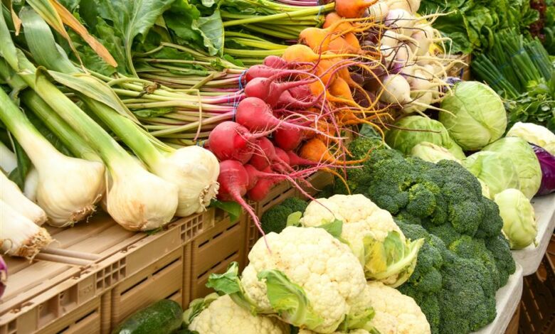 ElanaWagner-23-05-2022-Health-EatingInSeason.1 (Medium)