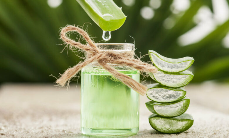 Aloe Vera Leaves