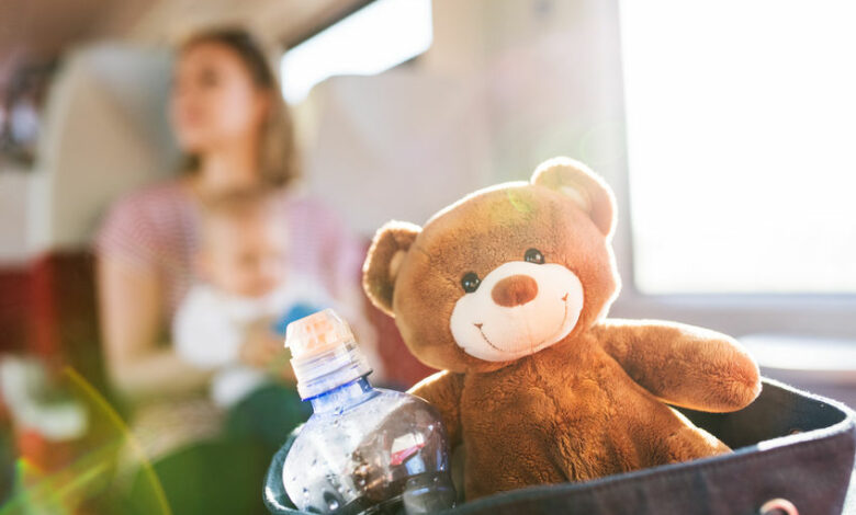 Young mother travelling with baby by train.