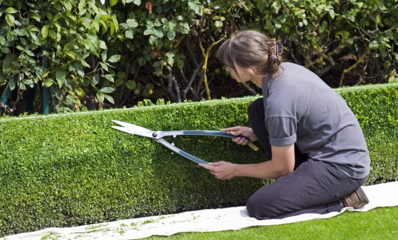 Alice Coetzee - 12-8-2022- gardening- pruning -photo 1