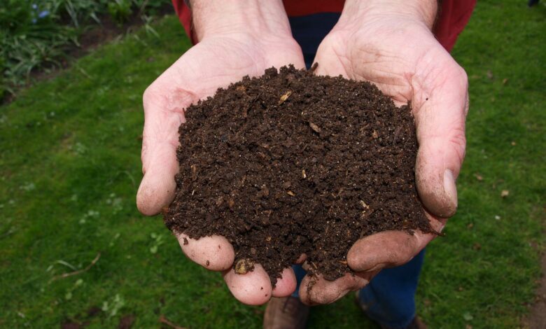 ElanaWagner-27-08-2022-Home-HomeComposting.1