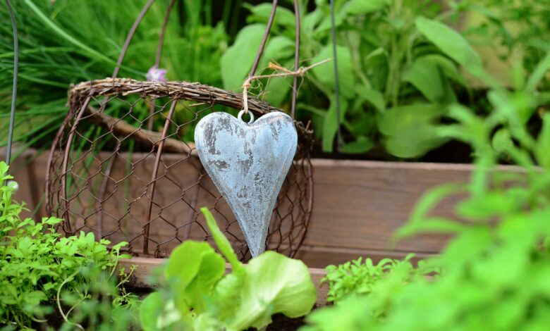 Alice Coetzee -23-09-2022- gardening- grow your own- photo 1