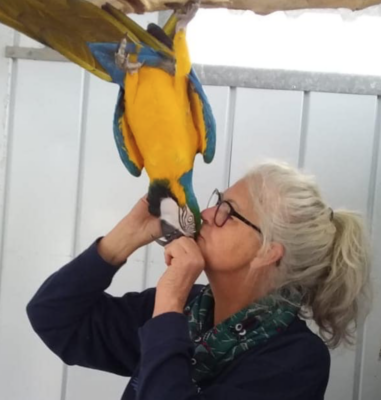 Dee at Brainy Birds