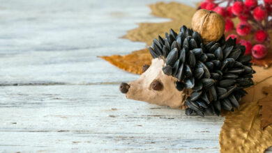 How to craft a hedgehog out of sunflower seeds