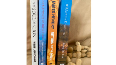 LNN Africa books
