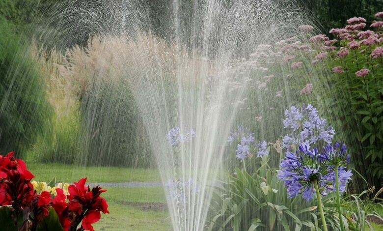 Alice Coetzee - 03-02-2023 - gardening - February garden tips Photo 1 (Medium)
