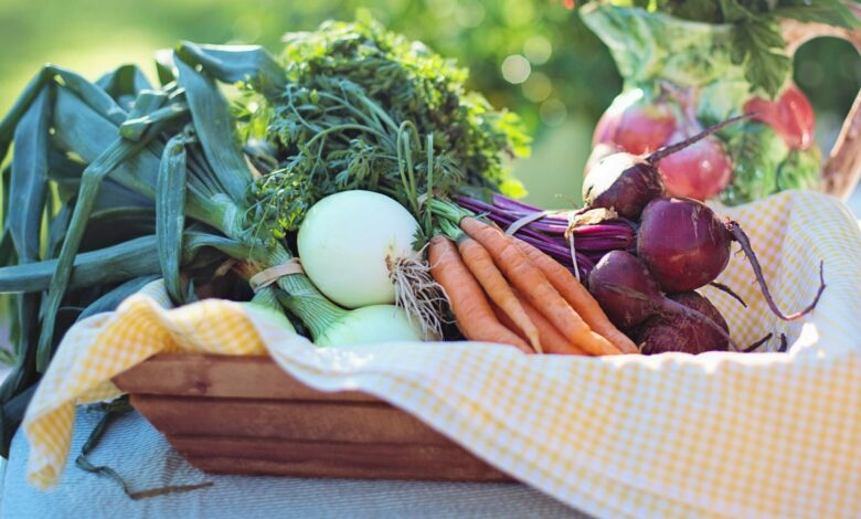 Alice Coetzee - 24-02-2023 - gardening - grow your own Photo 1