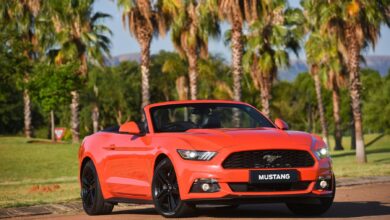 mustang_0141_1800x1800 quickpic