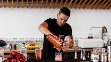 Two gin and plum cocktails for a refreshing summer