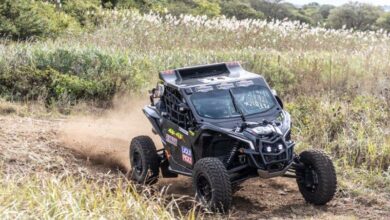 Ian and Werner Mostert