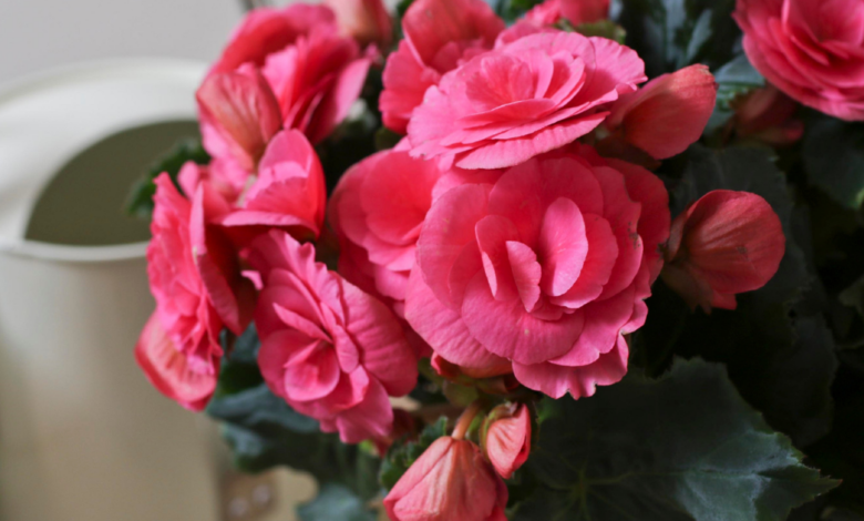 LNN Featured image_2 (9)