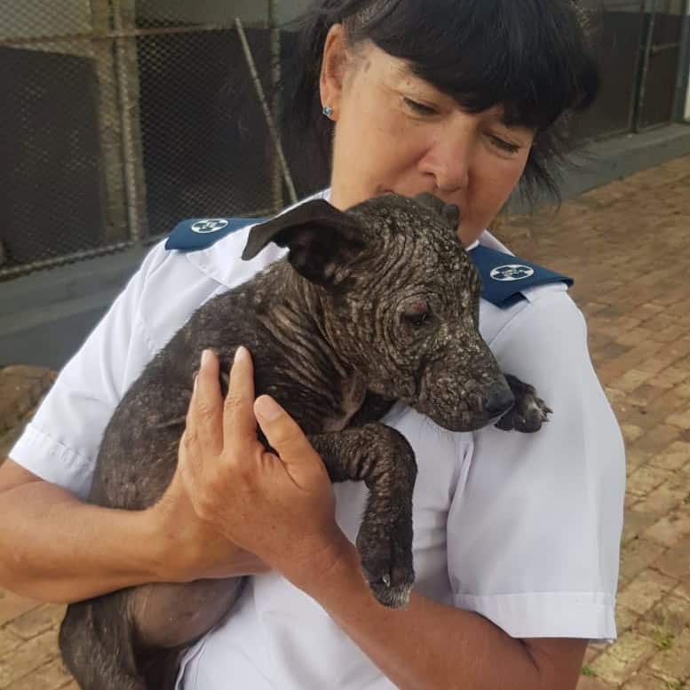 DBV in VDBP sluit sy deure