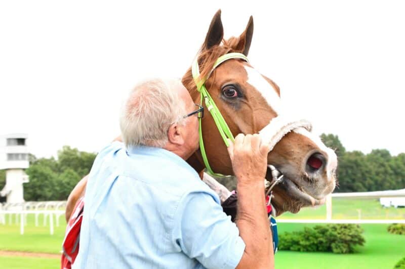 Perde-afrigter wreed vermoor by Vaal Renbaan