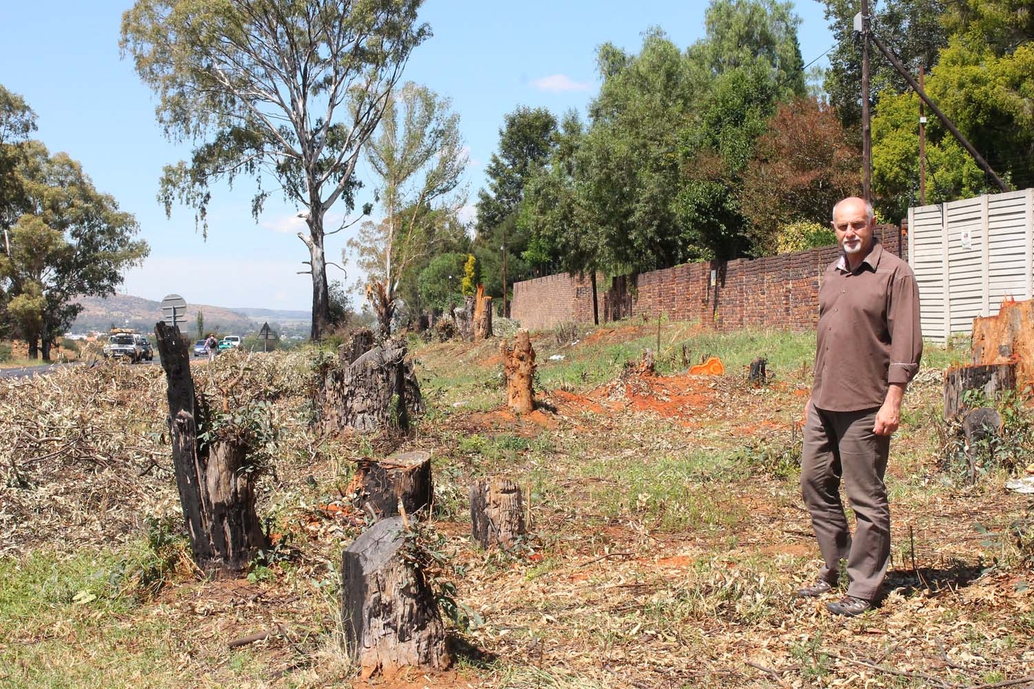 Bome sal nie almal in slag bly op R23 voor Overkruin Heidelberg Nigel