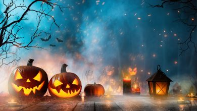 Halloween pumpkins on dark spooky forest.
