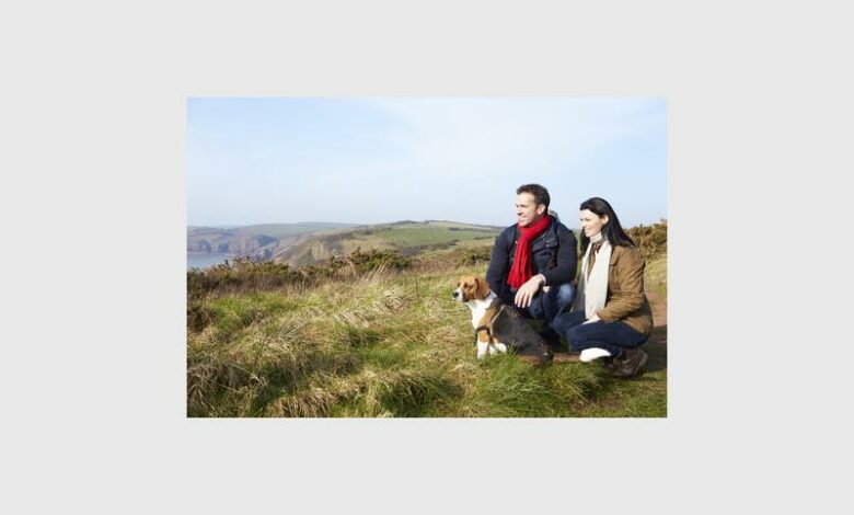 33518333_07985