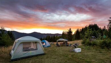 CAMP_84647
