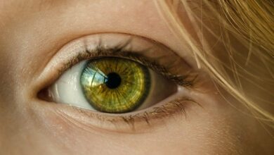eye-1132531_640