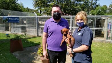 SPCA_62667