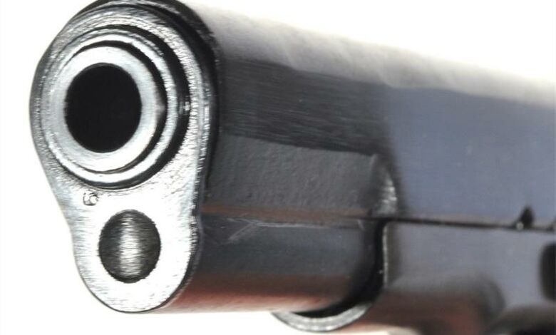 gun1-Large_19431