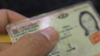 driverslicence_89403