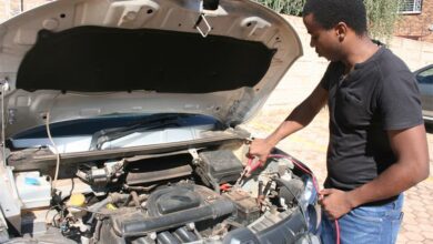 IMG_3135_41162