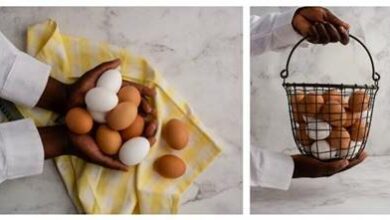 Eggs