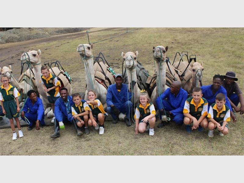 Merk jou kalender vir Heidelberg se geliefde KameelFees met vermaak, kos en familiepret soos min ander.