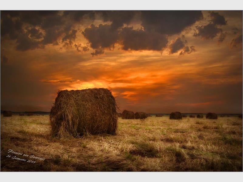 Discover how to capture nature’s beauty like a pro.