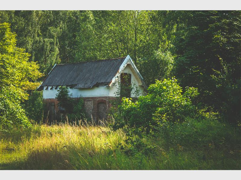 Tips from REMAX Southern Africa on what to look out for and consider when buying distressed property.