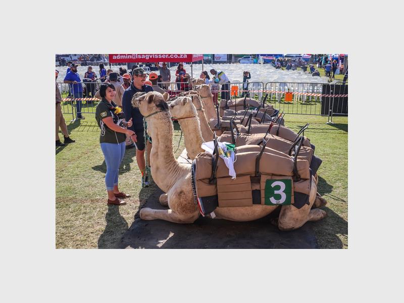 Die Laerskool AG Visser KameelFees sal hierdie naweek volstoom voortgaan soos beplan, maar sonder die tradisionele kameelresies.