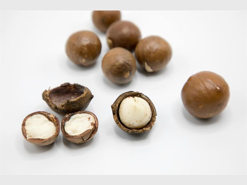 Love Madadamia shares tips and recipes to spice up your Heritage Day.