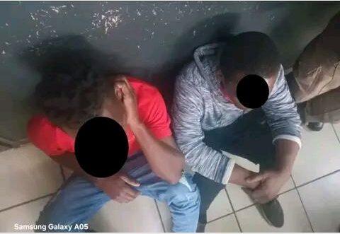 EMPD officers recovered a stolen bakkie linked to Heidelberg and arrested three undocumented men during operations in Tsakane, Nigel and Leondale.