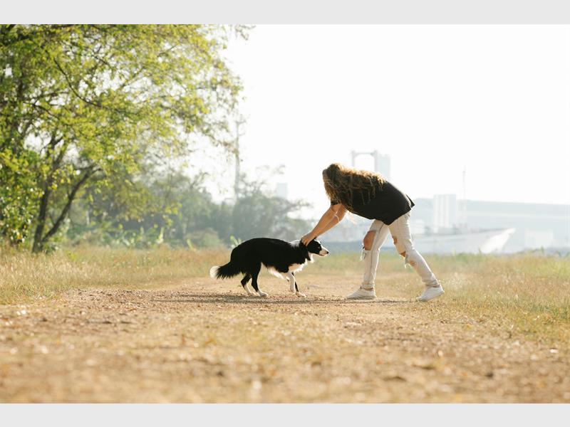Science shows that spending time with your beloved animal companion can positively affect your overall well-being.
