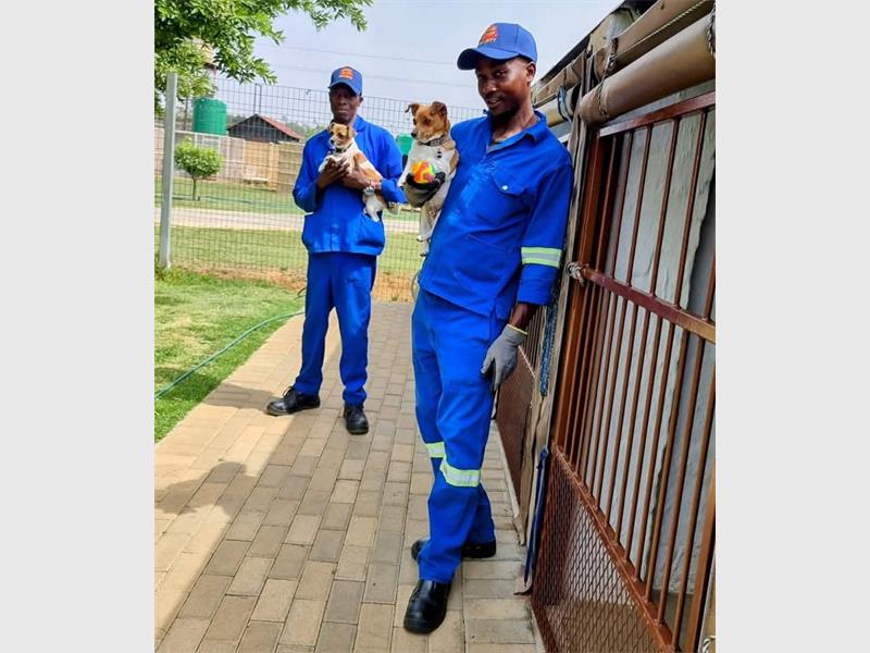 Crime Stop Heidelberg took community care a step further with the launch of secure kennels for cats and dogs that offer a monitored environment for pets while owners travel.