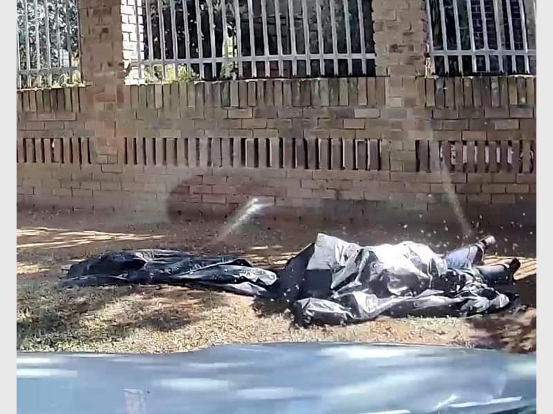 Quick-thinking members of Nigel Civil Protection risked their own safety to save a woman’s life after a swarm of bees attacked her in Visagie Park,