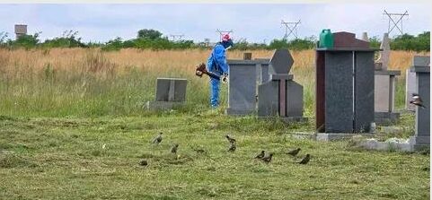 Municipal parks teams were on the ground on February 5 cutting overgrown grass in public spaces as part of ongoing efforts to keep communities clean, safe and well maintained.