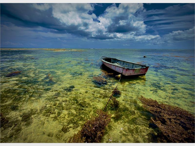 Lede van die Heigel Fotoklub het tydens hul Maart-vergadering in Nigel hul nuutste foto’s vertoon en wenners aangewys, terwyl opwindende planne vir uitstappies, werkswinkels en die jaarlikse gala-geleentheid ook bespreek is.
