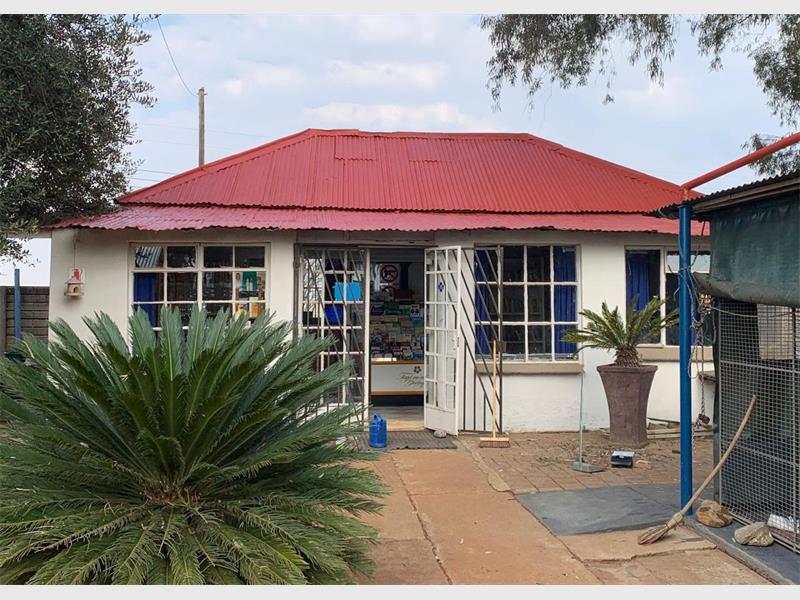 Teaser: The Nigel SPCA is inviting committed individuals to join its Management Committee as it works to meet growing demand and improve animal welfare services.
