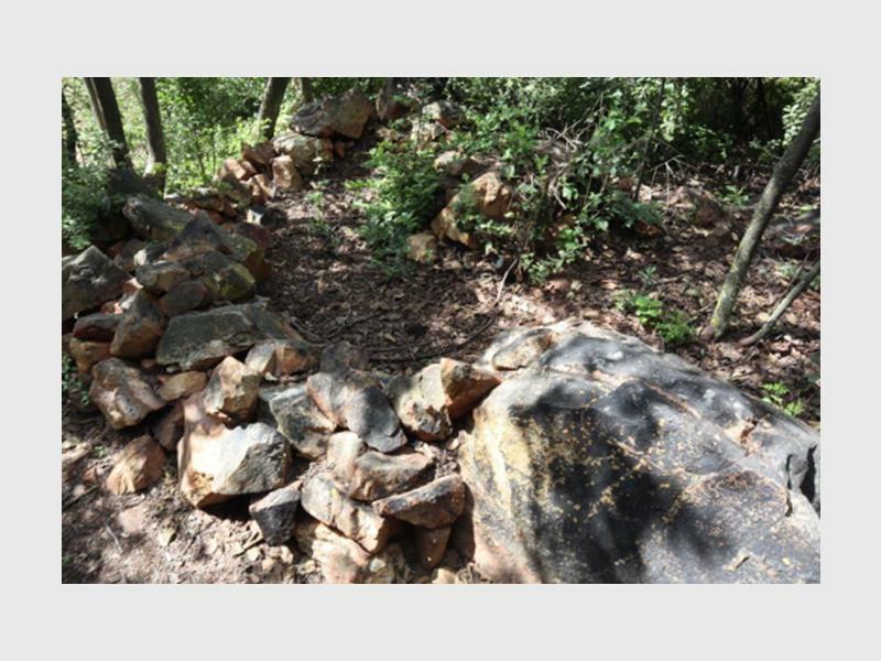 Join special guided tours leaving at 08:30 and 09:30 on May 3, leaving from the Melville Koppies' Judith Road entrance (park at Marks Park).