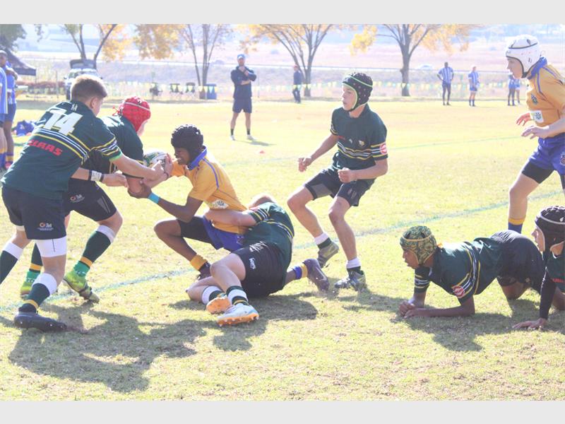 Hoër Volkskool Heidelberg celebrated a successful day on the rugby field after defeating Hoërskool Marais Viljoen in both the first and second team Noordvaal Cup Shield clashes held in Heidelberg on May 23.