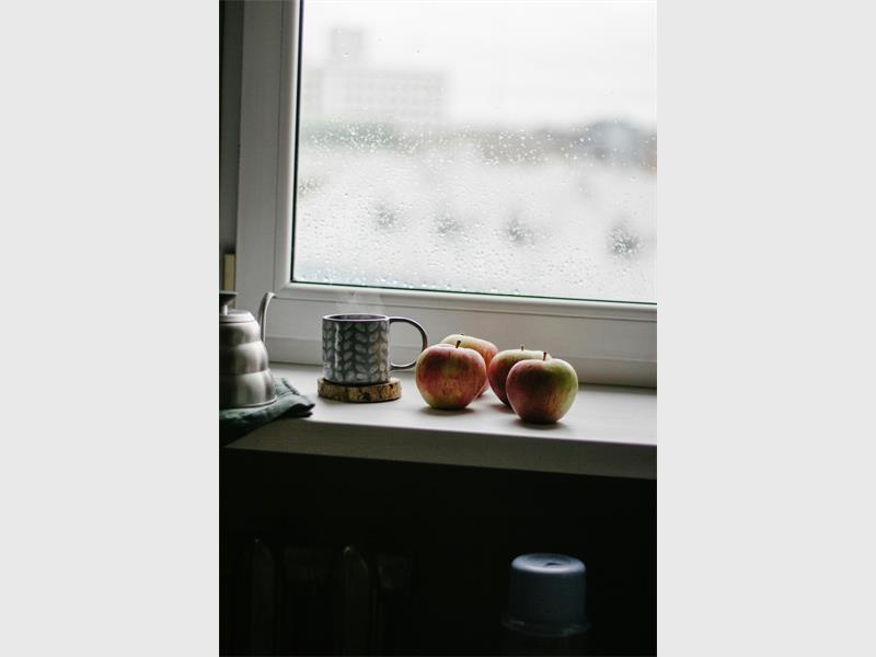 As the first real winter soakers begin to hit parts of South Africa, households are facing an unwelcome seasonal guest: mould.