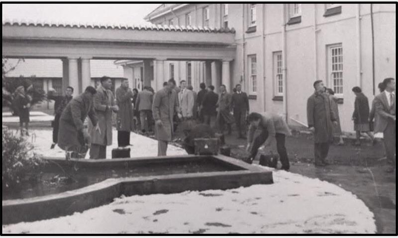 Die kollege is bedek in 'n dik laag wit flokkies wat ontaard het in 'n sneeugeveg, sneeu-manne en -vroue, en pragtige fotos.