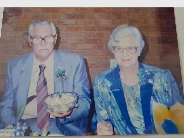 Fanie Botha se ossewa het 'n reis van formaat gehad, en word nou gerestoureer danksy die familie se bydrae.