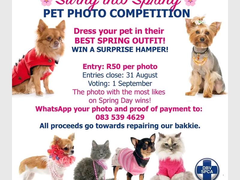 Pet owners are invited to dress up their furry friends and enter the Nigel SPCA’s spring photo competition for R50, with all proceeds going towards repairing the organisation's animal welfare bakkie.