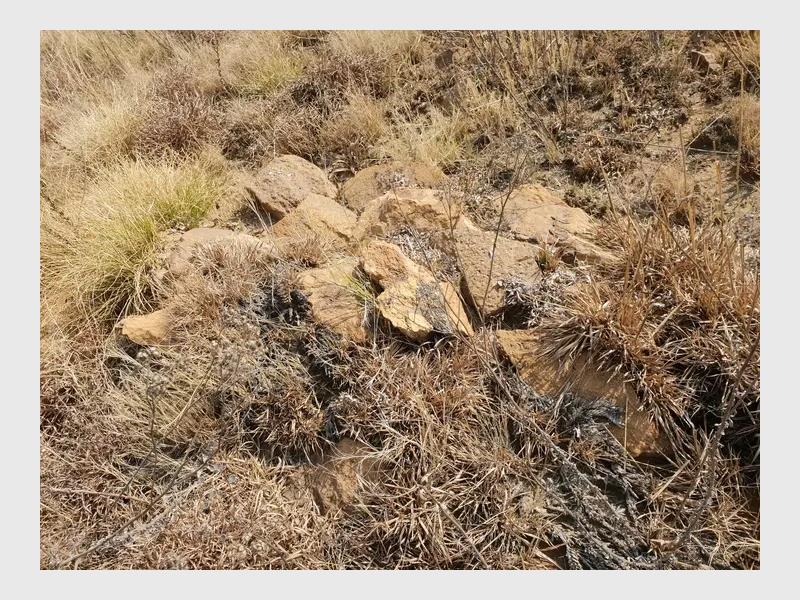 Heritage Blue Plaque No. 85 has been unveiled behind Heidelberg Mall, marking the site of a former black concentration camp cemetery where 150 people, including 121 children, reportedly lost their lives during the Anglo-Boer War.