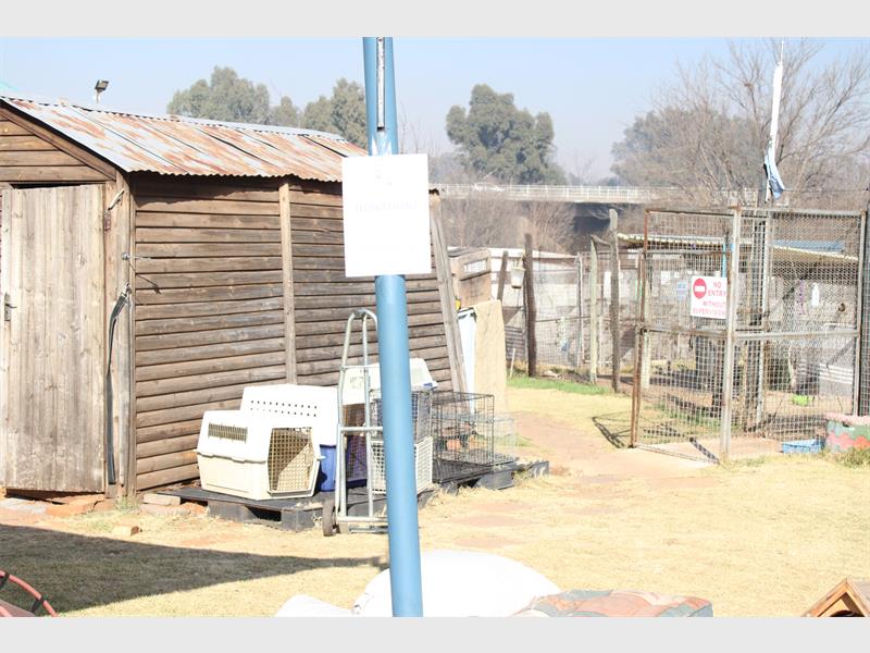 The Heidelberg SPCA is celebrating Women’s Month by honouring the women who dedicate themselves to animal welfare.
