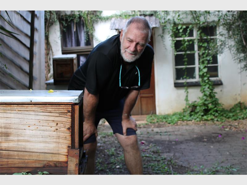 Bearing the possibility of unpredictable behaviour in mind, the EHBA is urging members of the community who may have beehives in their gardens to opt to having them professionally and responsibly relocated, before temperatures start rising.