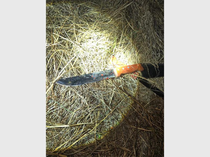 A 34-year-old man was arrested in Nigel after EMPD Equestrian Unit officers allegedly found four slaughtered cattle and recovered two blood-stained knives from a vehicle linked to the incident.
